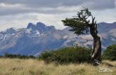 Paisagem da trilha da Loma del Pliegue Tumbado, em El Chaltén, na patagônia argentina